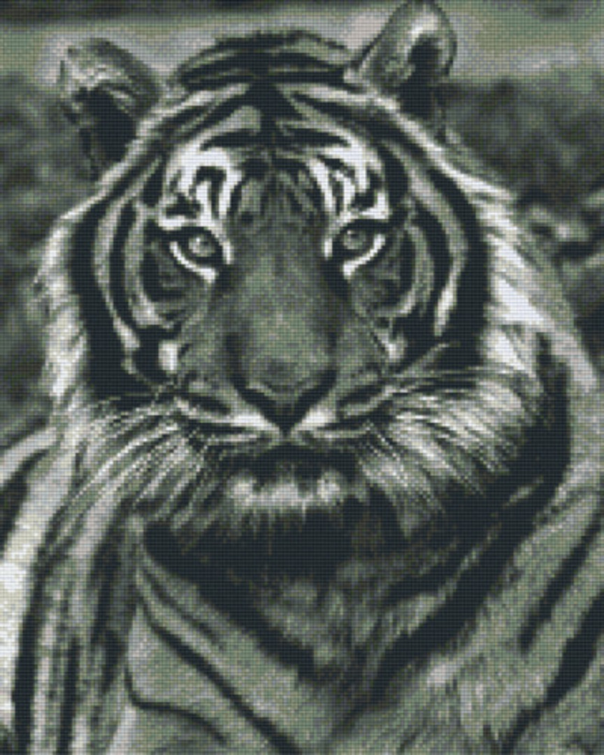 Black And White Big Tiger Sixteen [16] Baseplate PixelHobby Mini-mosaic Art Kit image 0